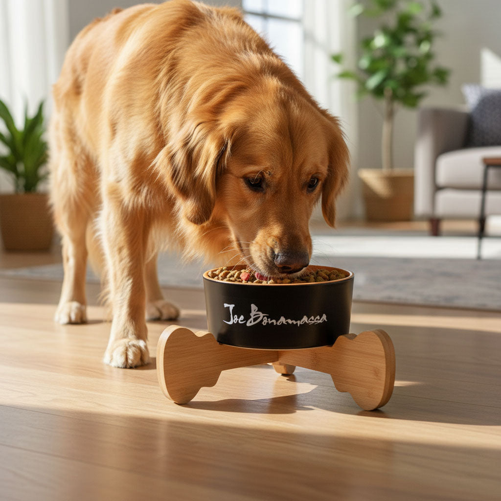 Joe Bonamassa JB Pet Bowl hundeskål keramikk