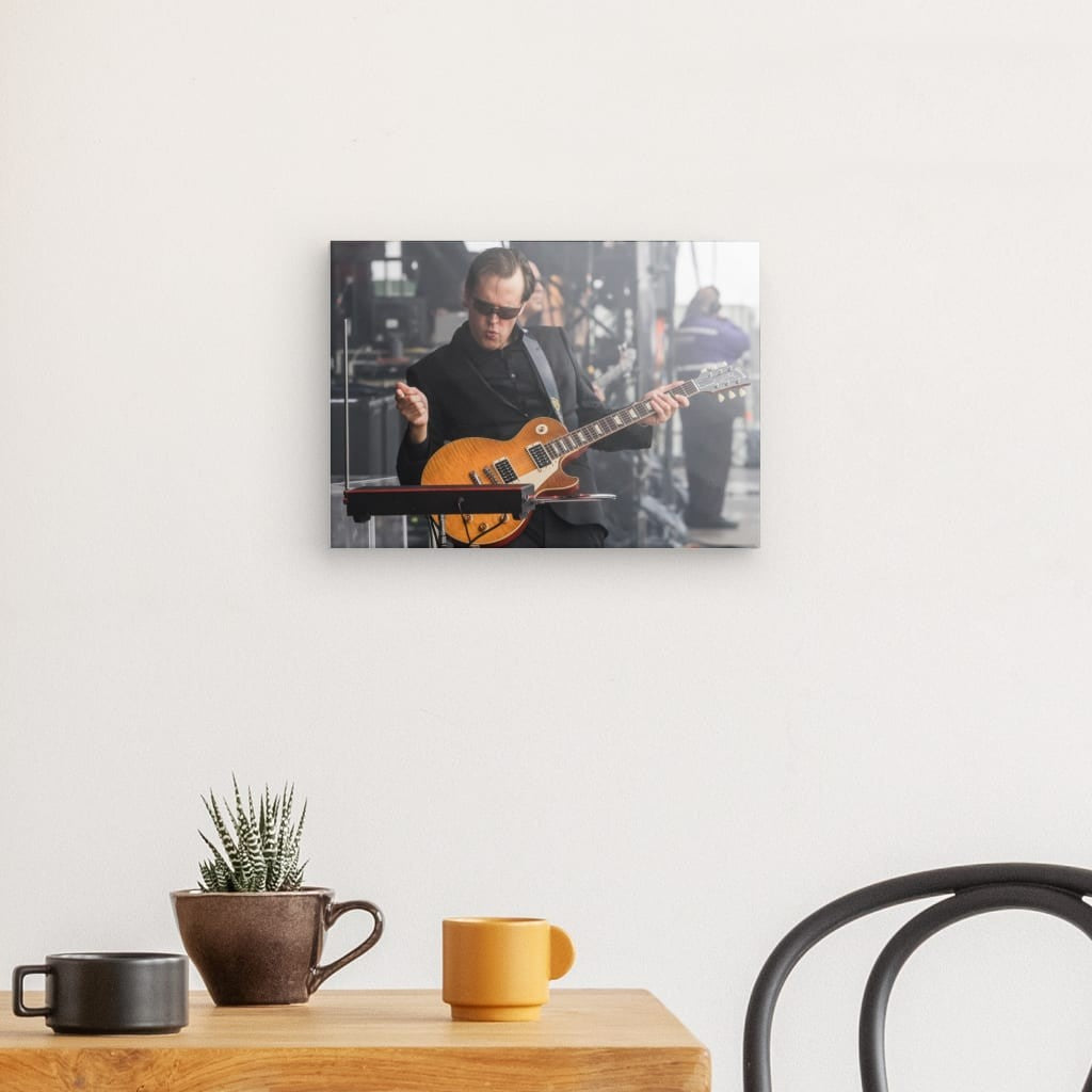 Joe Bonamassa Blues Thereminist lerret canvas