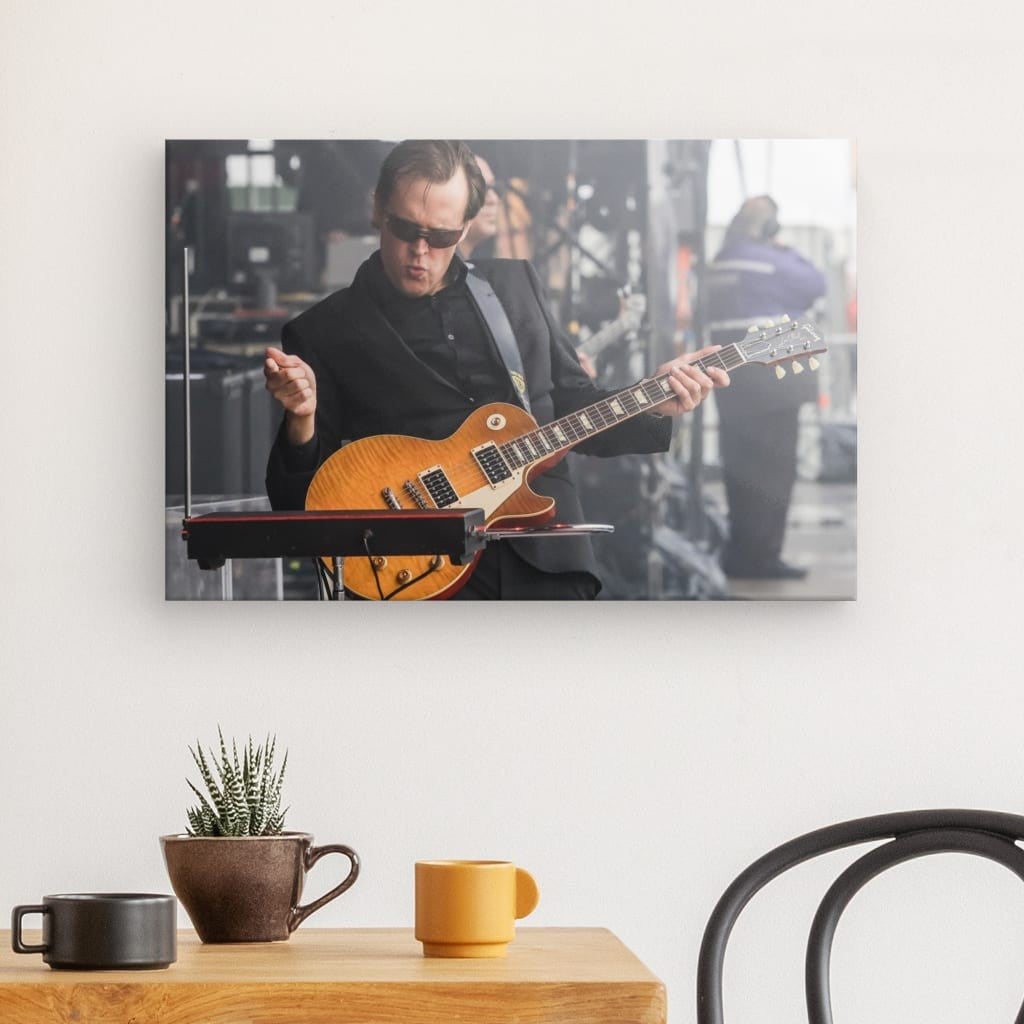 Joe Bonamassa Blues Thereminist lerret canvas