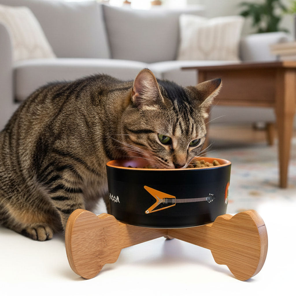 Joe Bonamassa JB Pet Bowl hundeskål keramikk